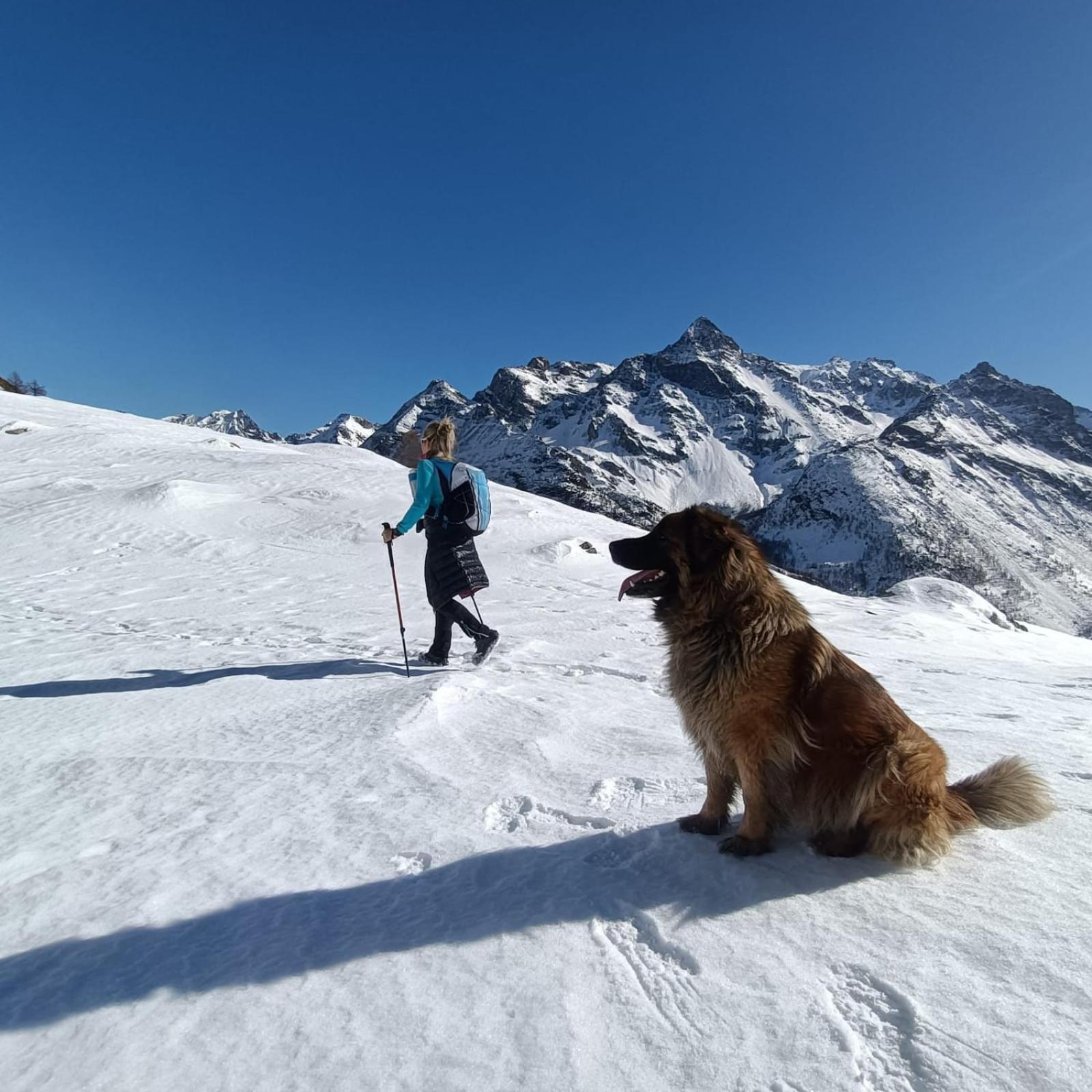 Albergo Valentino Bionaz Bagian luar foto