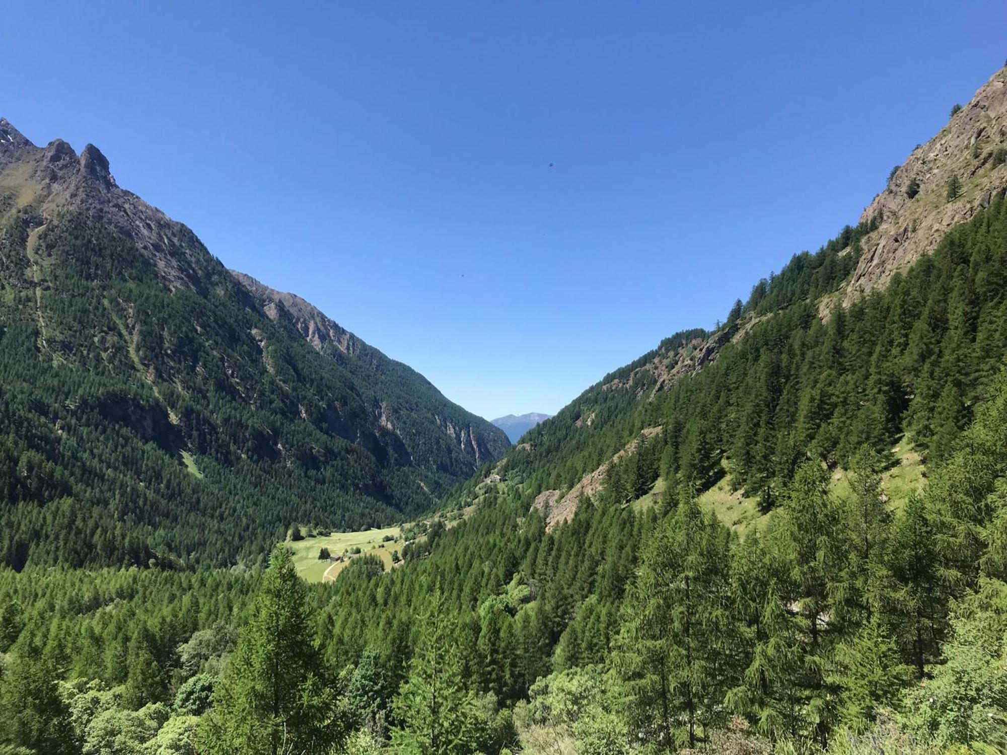 Albergo Valentino Bionaz Bagian luar foto